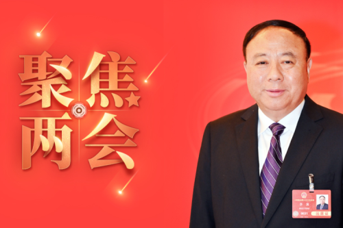 全國人大代表李寅2025年建議之四--盡快解決農(nóng)林生物質(zhì)發(fā)電可再生能源電價附加補助拖欠問題，化解行業(yè)經(jīng)營風(fēng)險的建議